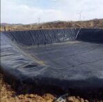 გეომემბრანა geomembrane