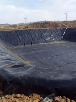 გეომემბრანა geomembrane